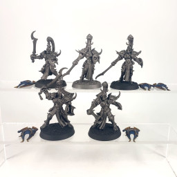 Myrmidesh Painbringer