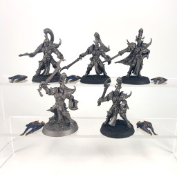 Myrmidesh Painbringer