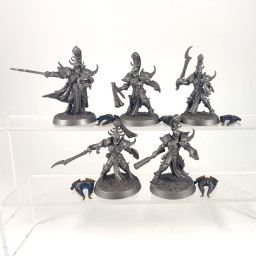 Myrmidesh Painbringer