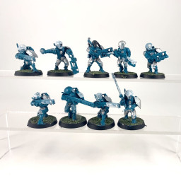 Fire Warriors Breacher Team