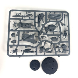 Lord-Veritant with Gryph-crow