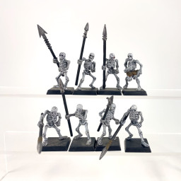 skeleton warriors