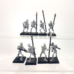 Guerriers squelettes