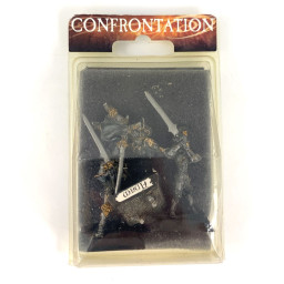 Lions d'Alahan : Paladins