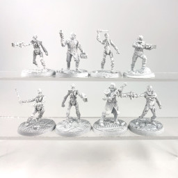 Fallout Wasteland Warfare Institute Core Box