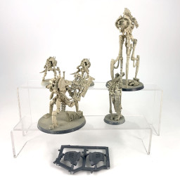 Necrons royal court
