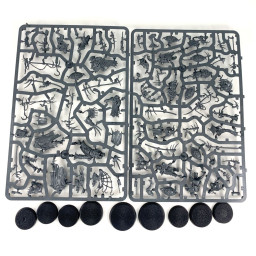 Crédo de Putrefange