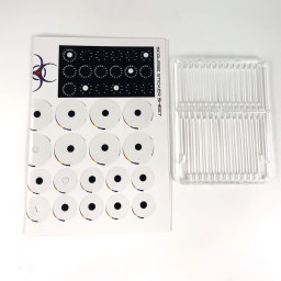 Dropfleet Commander Scourge Cruisers