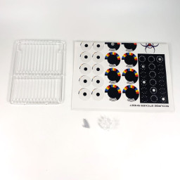 Dropfleet Commander Scourge Core Fleet