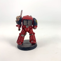 Terminator captain