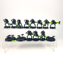 Warriors + Scarab Old