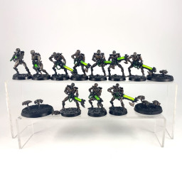 Warriors + Scarab Old