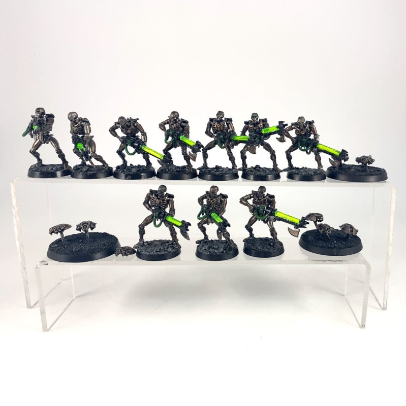 Warriors + Scarab Old