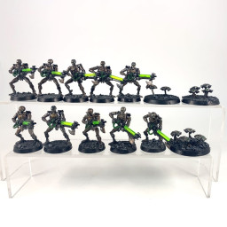 Guerriers + Scarabés Ancien