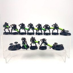 Warriors + Scarab Old