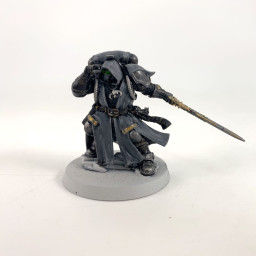 Primaris Librarian en...