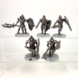 Triarch Praetorians