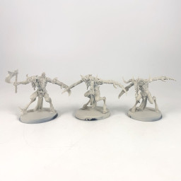 Slaangor Fiendbloods