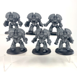Terminators Saturnine