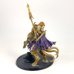 Arch-Kavalos Zandtos