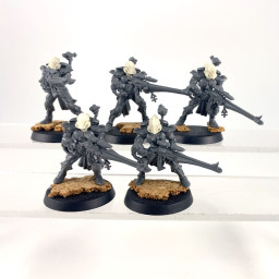 Dire avengers conversion