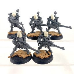 Dire avengers conversion