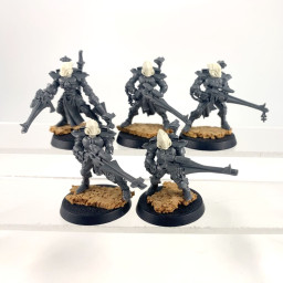 Dire avengers conversion