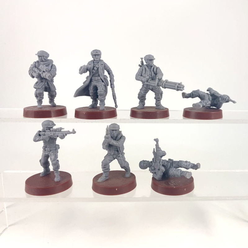 Rebel Troopers