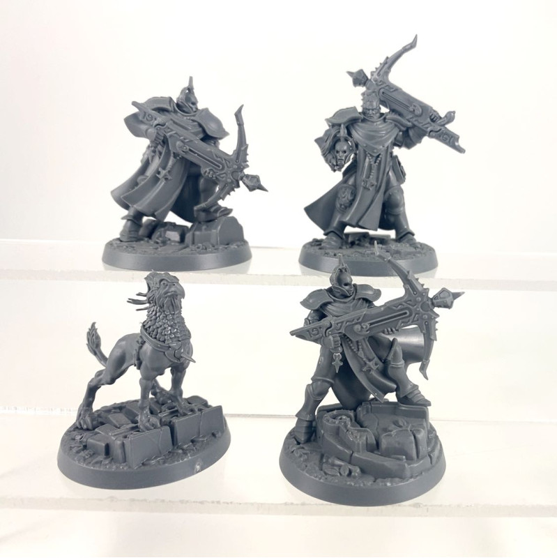 Easy to Build Castigators with Gryph-hound (Legend)