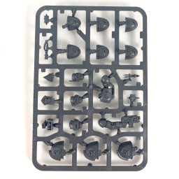 Upgrades and Transfers