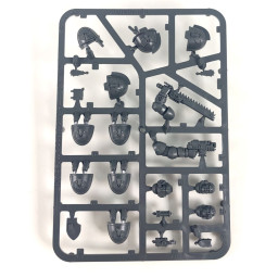 Upgrades and Transfers