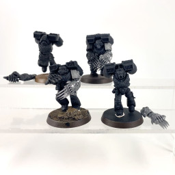 Vanguard Veteran Firsborn...