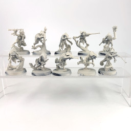 Warcry : chasseurs de Huanchi