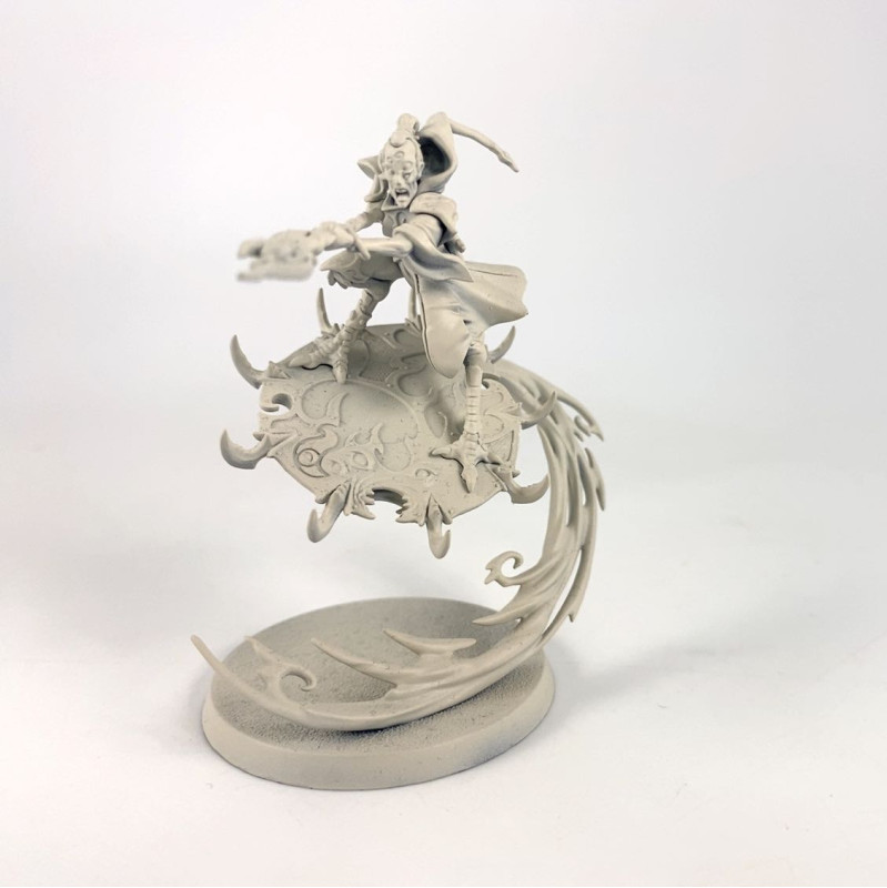 Magister on Disc of Tzeentch