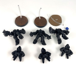 Primaris inceptors