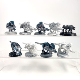 Termagant brood Ancient