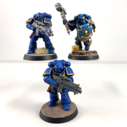 Primaris intercessors