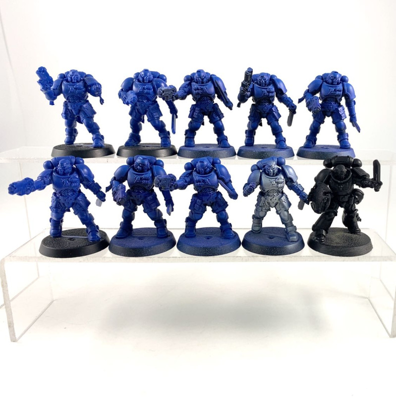 Primaris reivers