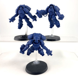 Primaris inceptors
