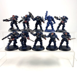 Primaris reivers