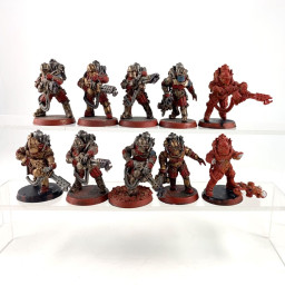 Solar Auxilia Flamer section