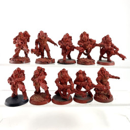 Solar Auxilia Flamer section