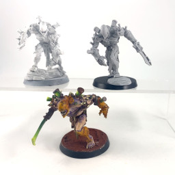 Flesh Golems of Voidborn...