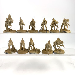 Neurogaunt incomplet