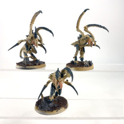 Von Ryan’s Leapers