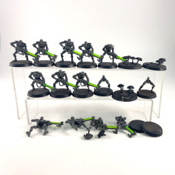 Warriors + Scarab Old...