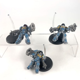Primaris inceptors