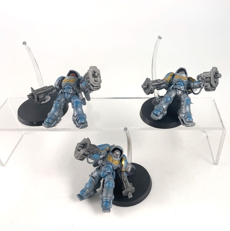 Primaris inceptors