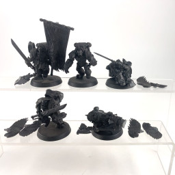 Sanguinary Guard Old incomplet