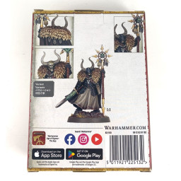 Seigneur sorcier du chaos